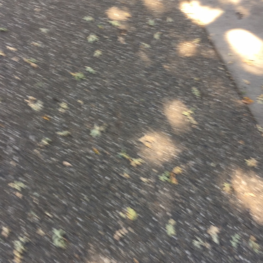 original leaves